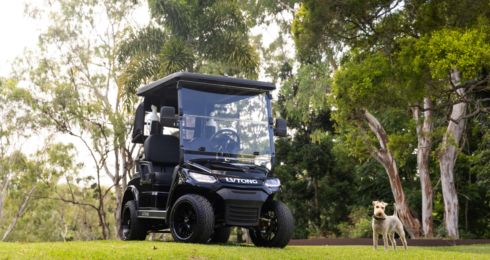 Red Plum Automotive LVTONG electric carts in Pullenvale QLD